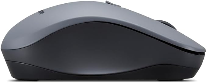 Lenovo WL310 Bluetooth Silent Mouse, Ergonomic, Adjustable DPI, Silent Clicks, Bluetooth 5.0, Portable for Windows, Mac, and Chromebook, Grey