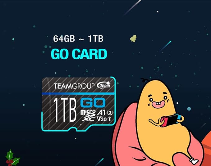 TEAMGROUP GO Card 256GB Micro SDXC UHS-I U3 V30 4K for GoPro & Action Cameras High Speed Flash Memory Card with Adapter for Outdoor, Sports, 4K Shooting TGUSDX256GU303