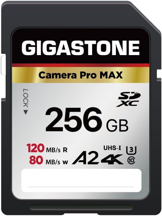 [5-Yrs Free Data Recovery] GIGASTONE 256GB SD Card, 4K Camera Pro MAX, A2 4K SDXC Memory Card High Speed 4K UHD Video Compatible with Canon Kodak Digital Camera, with 1 Mini case