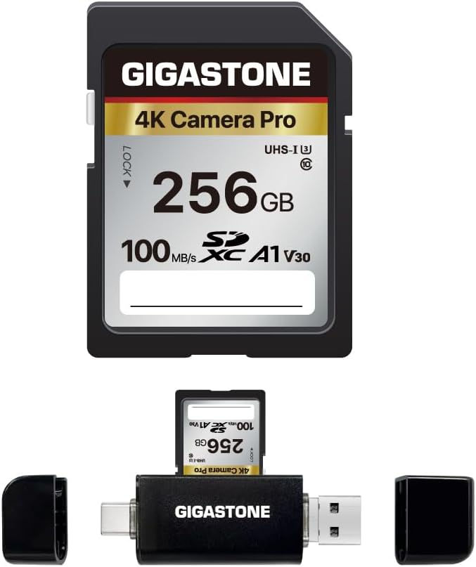 [5-Yrs Free Data Recovery] GIGASTONE 256GB SD Card with USB Type C Card Reader, 4K Camera Pro, A1 V30 U3 SDXC Memory Card Compatible with Canon Digital Camera, with 1 Mini case