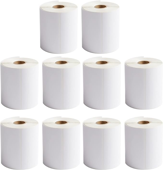 FungLam 10 Rolls 4"x6" Direct Thermal Printer Label, Shipping Labels Compatible with Zebra, Rollo and Most Thermal Printer, Perforated Postage Label Paper, 250 Labels/Roll