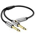 1/4 inch TS Mono Splitter Y Adapter, 6.35mm Mono Female to Dual 6.35 mm TS Mono Male Jack, Quarter inch Audio Speaker Splitter Converter Cable 1 Feet, Gold Plated Connectors