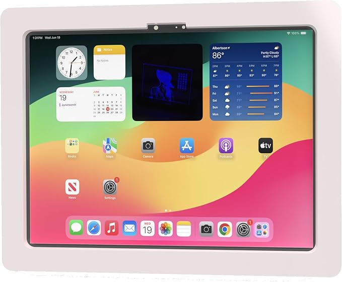 TABcare Anti-Theft Acrylic VESA Enclosure for Apple iPad Pro 11" 2024 (5th gen) with Free Wall Mount Kit & 90-Degree Angle USB C Cable (iPad Pro 11 2024, White)