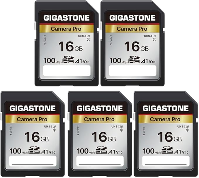 [5-Yrs Free Data Recovery] GIGASTONE 16GB 5-Pack SD Card, Camera Pro, A1 V10 SDHC Memory Card Compatible with SPYPOINT TACTACAM Trail Camera, with 5 Mini Cases