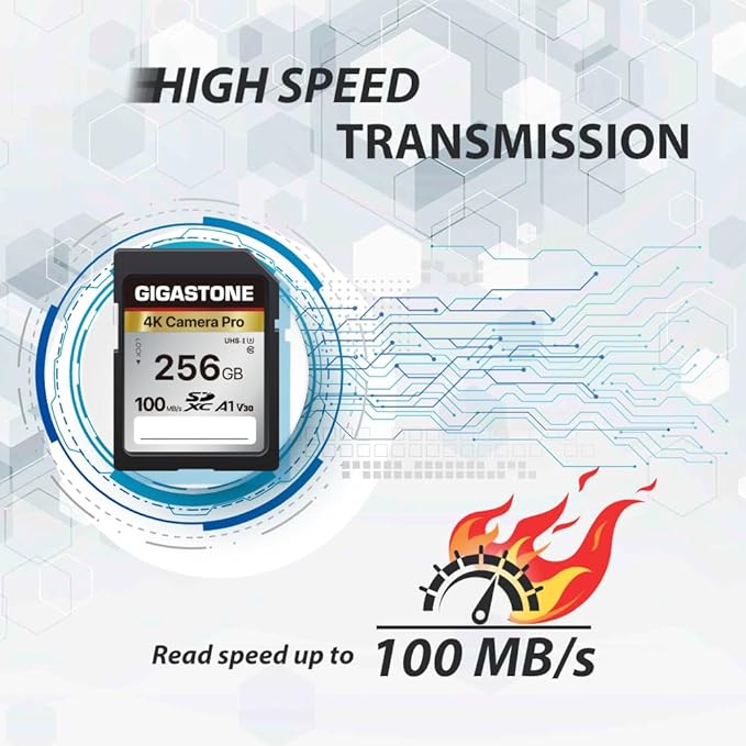 [5-Yrs Free Data Recovery] GIGASTONE 256GB SD Card, 4K Camera Pro, A1 V30 SDXC Memory Card 4K UHD Video Compatible with Canon Digital Camera, with 1 Mini Case
