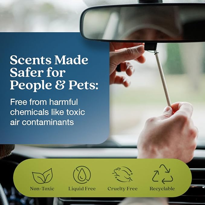 Enviroscent Non-Toxic Car Air Freshener (Coastal Storm & Teakwood) Natural Car Air Freshener | Essential Oil Diffuser | Car Scent Lasting Over 180 Days | 3 Packs of 2 Hanging Auto Stix