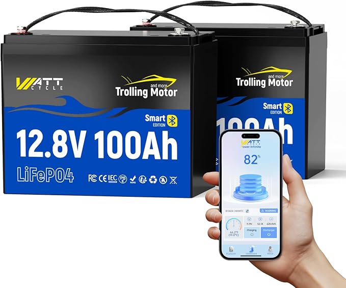 12V 100Ah TM LiFePO4 Lithium Battery with Smart Bluetooth, Group 24, Automatically Cuts Off and Recovery, 120A BMS, IP67, Deep Cycle Perfect for Trolling Motors Marine Boat RVs(2 Pack)