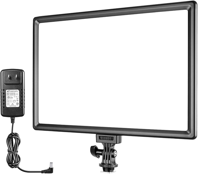 NEEWER 192 LED Video Light Panel, 20W Ultra Thin Bi Color Dimmable DSLR Camera Soft Light, 8000mAh Built in Lithium Battery, 3200-5600K CRI97+, Key Lighting for Studio Photography Recording Streaming