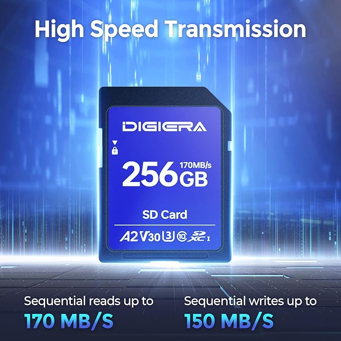 256GB LS100 SDXC UHS-I Memory Card - up to 170MB/s, C10, U3, V30, 4K UHD, SD Card for Computers, Digital Cameras, Home Theatre Devices, Car Navigation Systems (1 Pack)