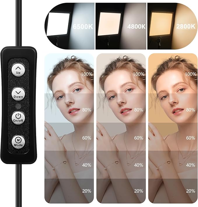 LED Photo Video Light 2-Pack, Bi-Color 2800-6500K Dimmable USB LED Continuous Light, 68" Photography Lighting Kit with Tripod Stand for Studios, YouTube TikTok Video Recording, Game Streaming