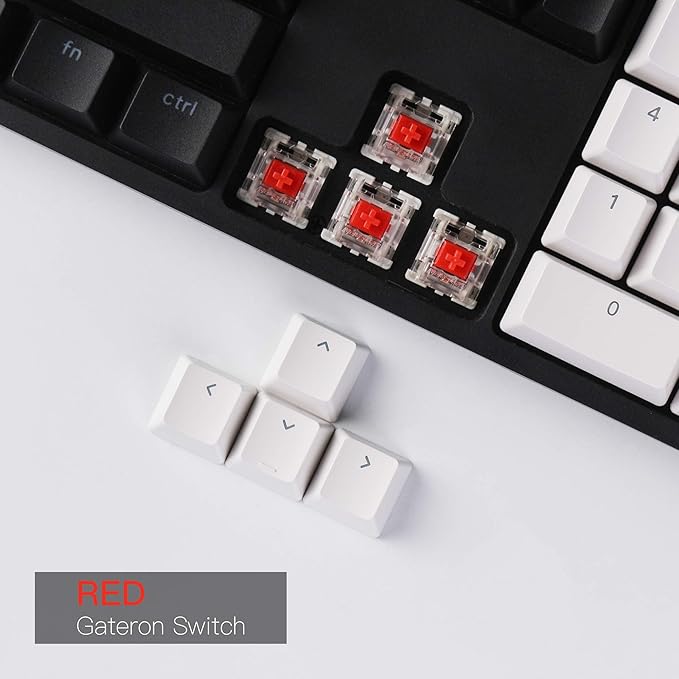 Keychron C2 Full Size 104 Keys USB Type-C Wired Mechanical Gaming Keyboard for Mac Layout, Gateron G Pro Red Switch/RGB Backlight/Double-Shot ABS keycaps Computer Keyboard for Windows Laptop PC