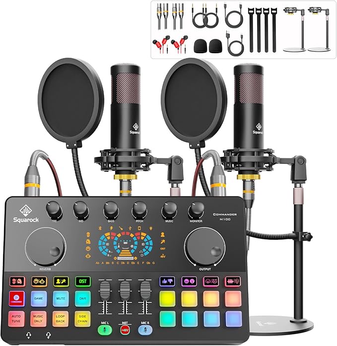 Podcast Equipment Bundle for 2 with Dual 48V XLR Condenser Micophones with Mic Pop Filters Audio Equipment for Live Streaming/ Recording, Online Gaming for Phone/ Laptop/ PC Audio Interface M100