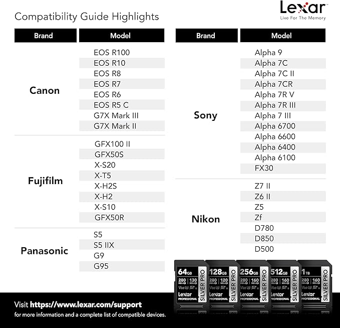 Lexar 1TB Professional Silver PRO SD Card, UHS-II, C10, U3, V60, Full HD, 4K, Up To 280MB/s Read SDXC Memory Card, For Professional Photographer, Videographer, Enthusiast (LSDSIPR001T-BNNNG)