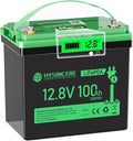12V 100Ah LiFePO4 Lithium Battery, Mini Deep Cycle Rechargeable LiFePO4 Battery, Max.15000 Cycles Built in 100A BMS for RV, Trolling Motor, Camping, Marine, Solar, Home Energy Storage(1 Pack)