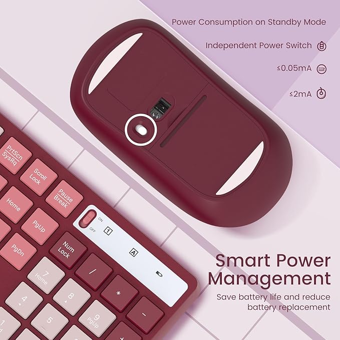Wireless Keyboard and Mouse Combo, Lovaky 2.4G Full-Sized Ergonomic Keyboard Mouse, 3 DPI Adjustable Cordless USB Keyboard and Mouse, Quiet Click for Computer/Laptop/Windows/Mac (1 Pack, Rose)