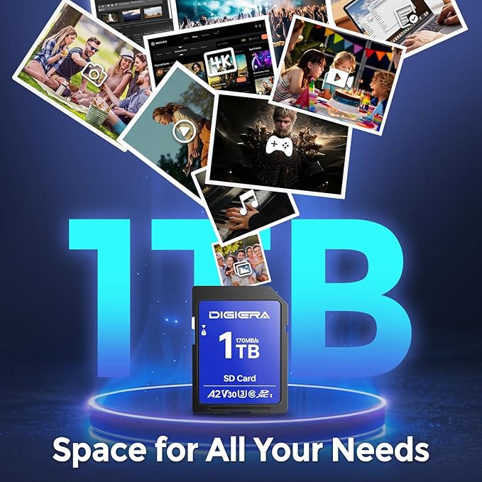 1T LS100 SDXC UHS-I Memory Card - up to 170MB/s, C10, U3, V30, 4K UHD, SD Card for Computers, Digital Cameras, Home Theatre Devices, Car Navigation Systems (1 Pack)