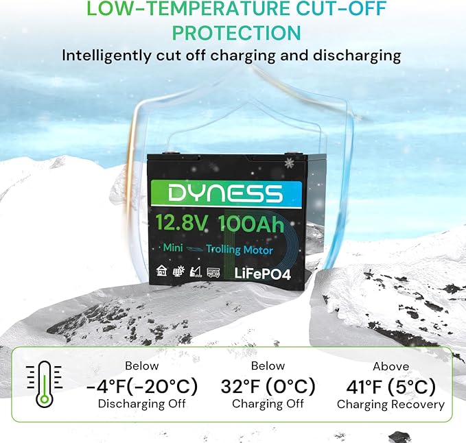 12V 100Ah Mini LiFePO4 Battery Group 24, 12.8V Lithium Battery with 100A BMS, Low-Temp Protection & 10 Years Lifespan for Trolling Motor, Marine, Boat, RVs, Solar Off-Grid, Golf Cart