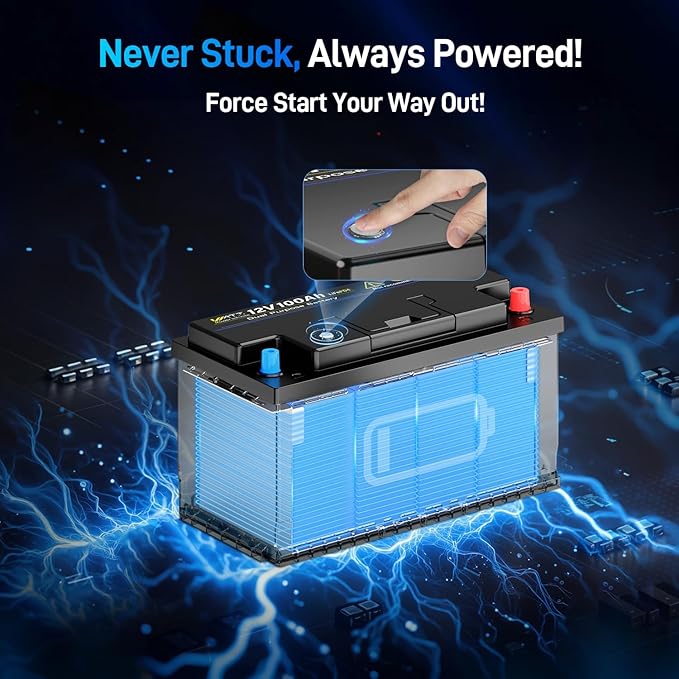 12V 100Ah Bluetooth LiFePO4 Battery, [Cranking &Deep Cycle] Lithium Battery with Self-Heating, Built-in 200A BMS, Perfect for Trolling Motor, RV, Marine, Boat(4 Pack)