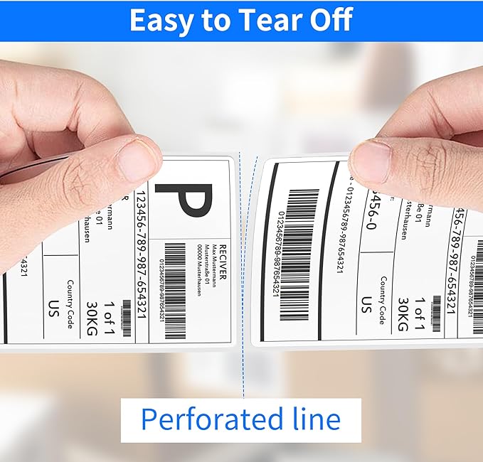 FungLam 4"x6" Direct Thermal Shipping Labels - Compatible with Zebra, Munbyn, Rollo Printers - 450 Labels Per Roll, 20 Rolls