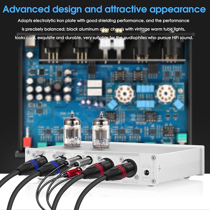 Douk Audio HiFi Vacuum Tube 7-Band EQ Preamp Equalizer XLR Pre-Amplifier Home (T8 PRO Silver)