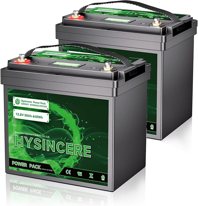 12V 50Ah LiFePO4 Lithium Battery, Built-in 50A BMS, Deep Cycle Up to 4000+ Cycles Lithium Iron Phosphate Rechargeable Battery for Solar, Marine, Home Energy Storage, Off-Grid Applications - 2 Packs