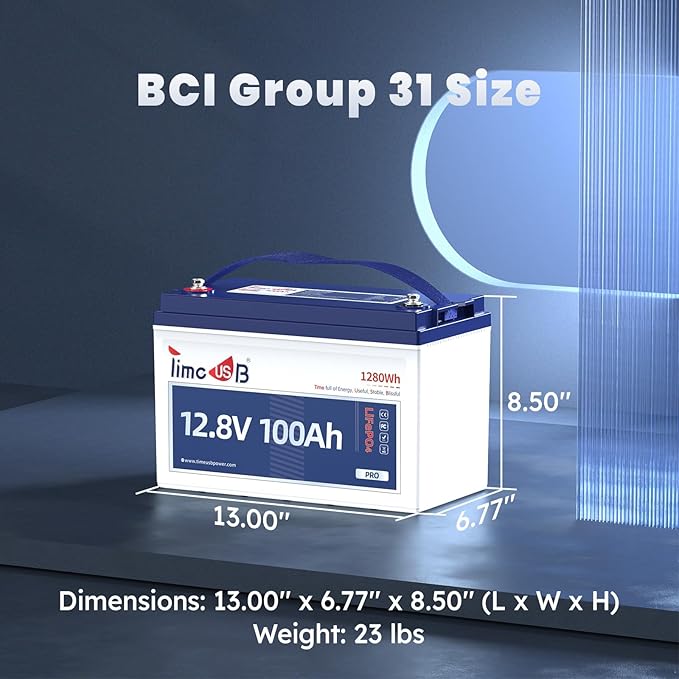 12V 100Ah Pro LiFePO4 Battery 2 Packs, Grade A Battery Cells, Group 31 Deep Cycle Lithium Battery, 100A BMS,10-Year Lifetime, Suitable for RV, Solar Home System and Off-grid Application