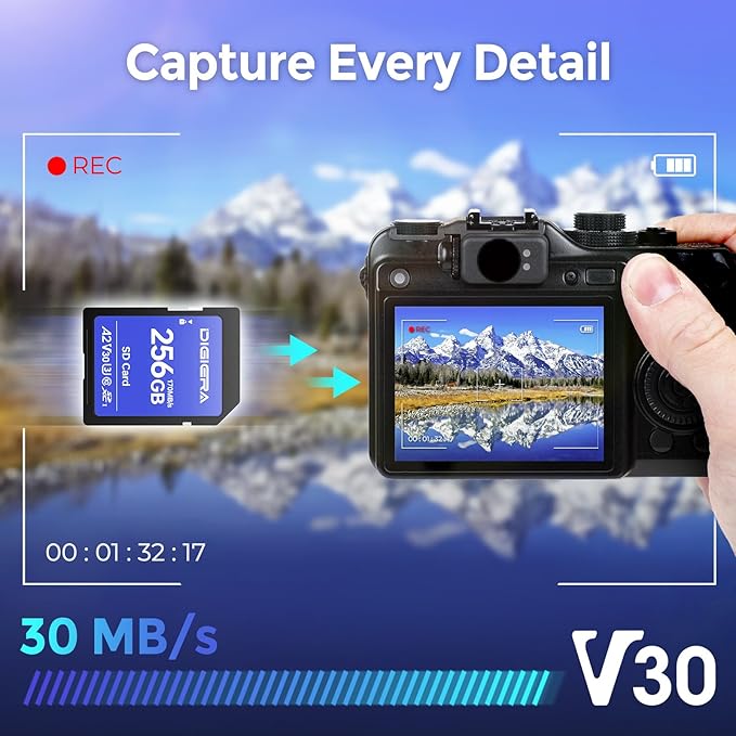 256GB LS100 SDXC UHS-I Memory Card - up to 170MB/s, C10, U3, V30, 4K UHD, SD Card for Computers, Digital Cameras, Home Theatre Devices, Car Navigation Systems (1 Pack)