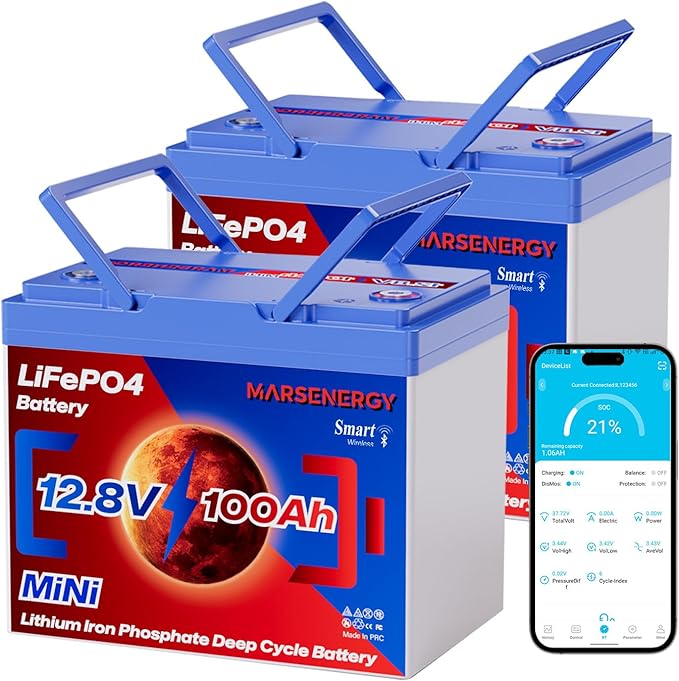 12V 100Ah Lifepo4 Battery, Bci Group 24, Built-In 100A Smart BMS, 4500 To 15000 Deep Cycle Grade A Cells Lithium Battery For Rv, Trolling Motor, Marine, Home Energy Storage, Solar Panel System (BT2PC)