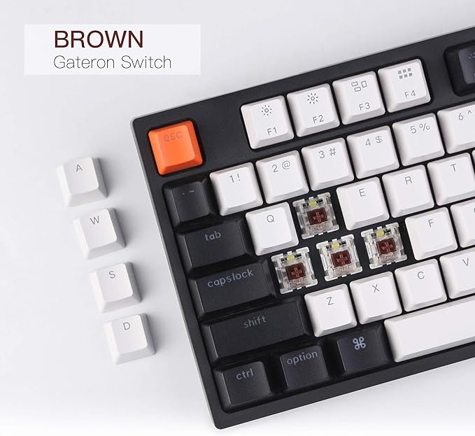Keychron C2 Full Size 104 Keys USB Type-C Wired Mechanical Gaming Keyboard for Mac Layout, Gateron G Pro Brown Switch/RGB Backlight/Double-Shot ABS keycaps Computer Keyboard for Windows Laptop PC