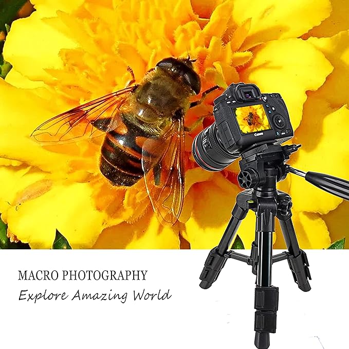 Mini Tripod for Camera,Zomei Travel Table Tripod with 3-Way Pan/Tilt Head 1/4 inches Quick Release Plate and Bag for DSLR Camera Tripod Carrying Bag