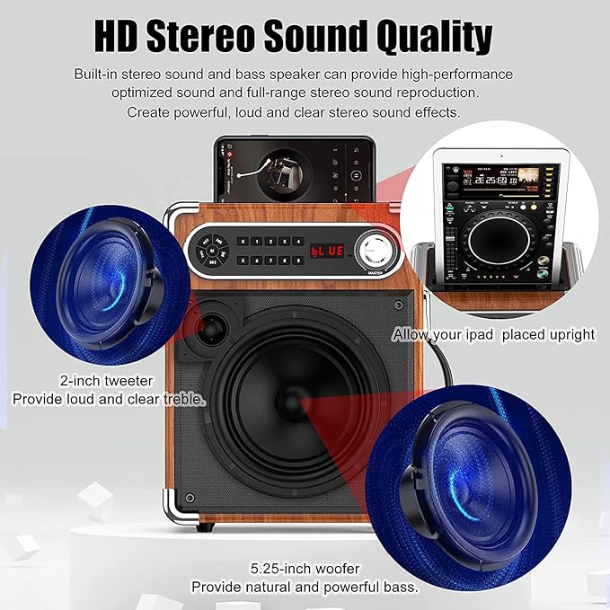 Bluetooth Speaker with Two Wireless Microphones, Outdoor Speaker with Subwoofer/Tweeter, Portable PA Speaker System with Remote Control, Discol Lights, FM, REC for Home, Party
