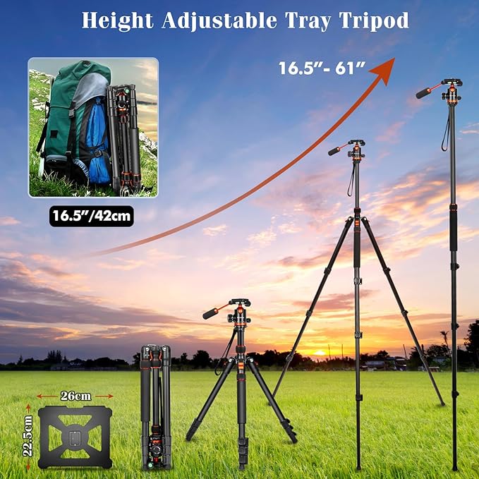 Camera Tripods & Projector Stand, 2 in1 Tripod for Camera with Removable Metal Tray, Heavy Duty Tripod for DSLR. Projector. Sheet Music and Tablet, Extra Metal Spikes and Carry Bag
