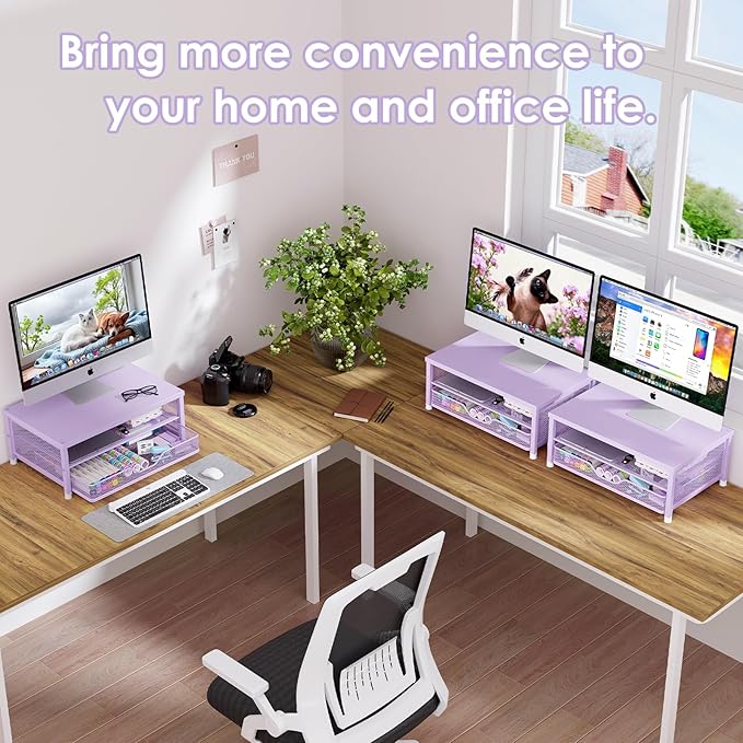Desk Organizers and Accessories, 2-Tier Computer Monitor Stand Riser with Drawer, Laptop Stand, Office Desk Accessories, Workspace Desktop Organizer for Office Supplies, Purple