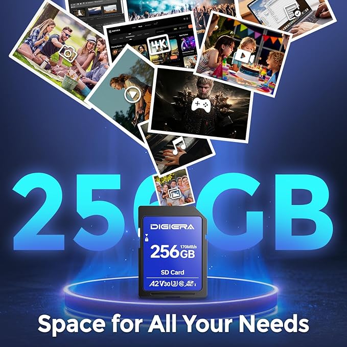 256GB LS100 SDXC UHS-I Memory Card - up to 170MB/s, C10, U3, V30, 4K UHD, SD Card for Computers, Digital Cameras, Home Theatre Devices, Car Navigation Systems (1 Pack)