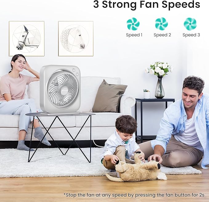 AMACOOL Table Fan, 12 inch Box Fan with 3 Adjustable Speeds & 8HRS Timer, Adjustable Angle Quiet Air Circulator, Desktop Fan for Bedroom Bathroom Kitchen Office, AC Adapter Included (Grey)