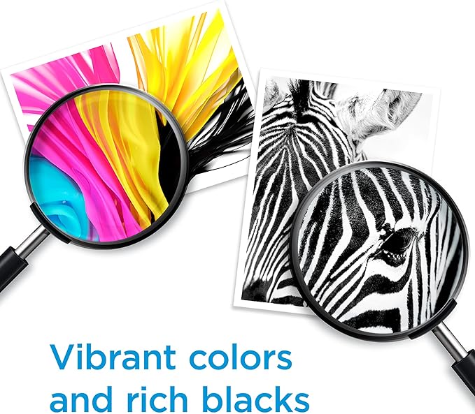 HP 910XL Black High-yield Ink Cartridge for HP Printers | Works with Printer Series: OfficeJet 8010, 8020; OfficeJet Pro 8020, 8030 | Eligible for Instant Ink | 3YL65AN