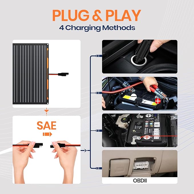 FlexSolar 20W 12V Solar Panel Battery Charger Maintainer Kits Trickle Charger with Built-in Charge Controller, Cig Plug, Alligator Clips, O-Rings OBDII Connector for Car, Truck,Tractor, Boat