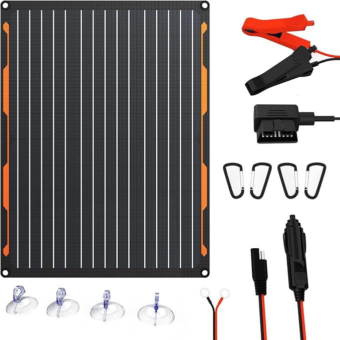 FlexSolar 20W 12V Solar Panel Battery Charger Maintainer Kits Trickle Charger with Built-in Charge Controller, Cig Plug, Alligator Clips, O-Rings OBDII Connector for Car, Truck,Tractor, Boat