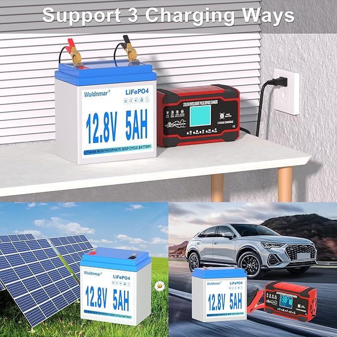 12V 5Ah LiFePO4 Battery, Lithium Battery with BMS, 3000+ Cycles, 64WH Deep Cycle Battery for Marine Battery, Car, RV, Golf Cart, Solar