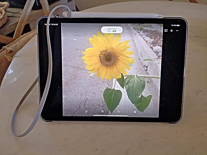 ZoopLoop Grey Silicone Scratchproof 20.75in Tether for Digital Electronic Styluses (Diameter Range: 0.27-0.37in) - Secure Stylus to Tablet Case - Tablet Pencil Holder Accessory