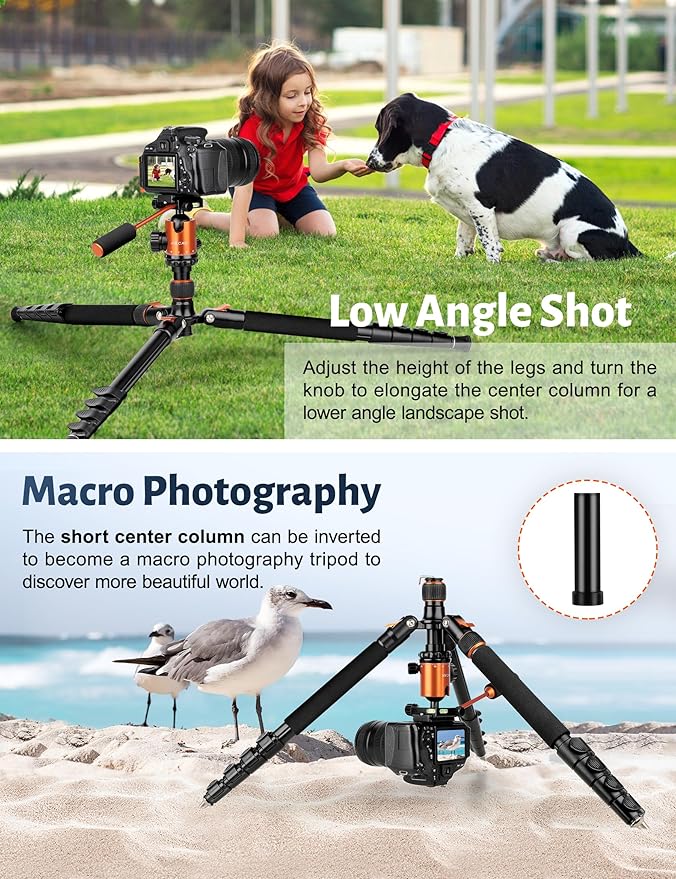 Camera Tripod, 81" Heavy Duty Aluminum Tripod for DSLR/Camera/Smartphone - with Handle, Converts to Monopod, Holds 35lbs